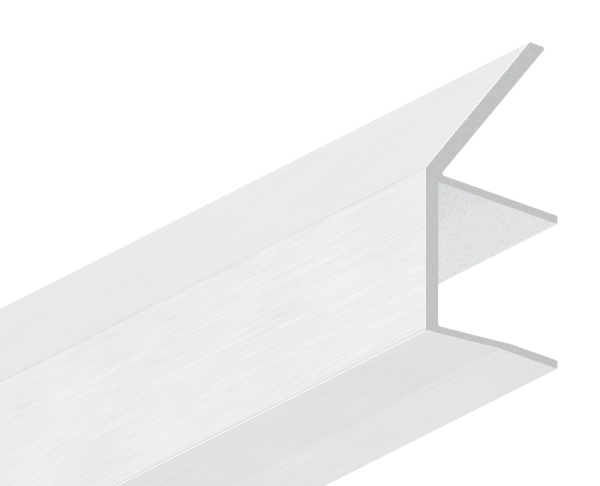 Regenrinne Aluminium eloxiert E4-EV1 fuer Glas 17-52 mm L = 3000 mm Edelstahloptik-88-11VDE-RE-3000.17