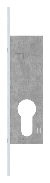 Rohrrahmen-Riegelschloss Riegel Zinkdruckguss Dornmass 18 mm fuer Profilzylinder 1-tourig-88-1140110.18