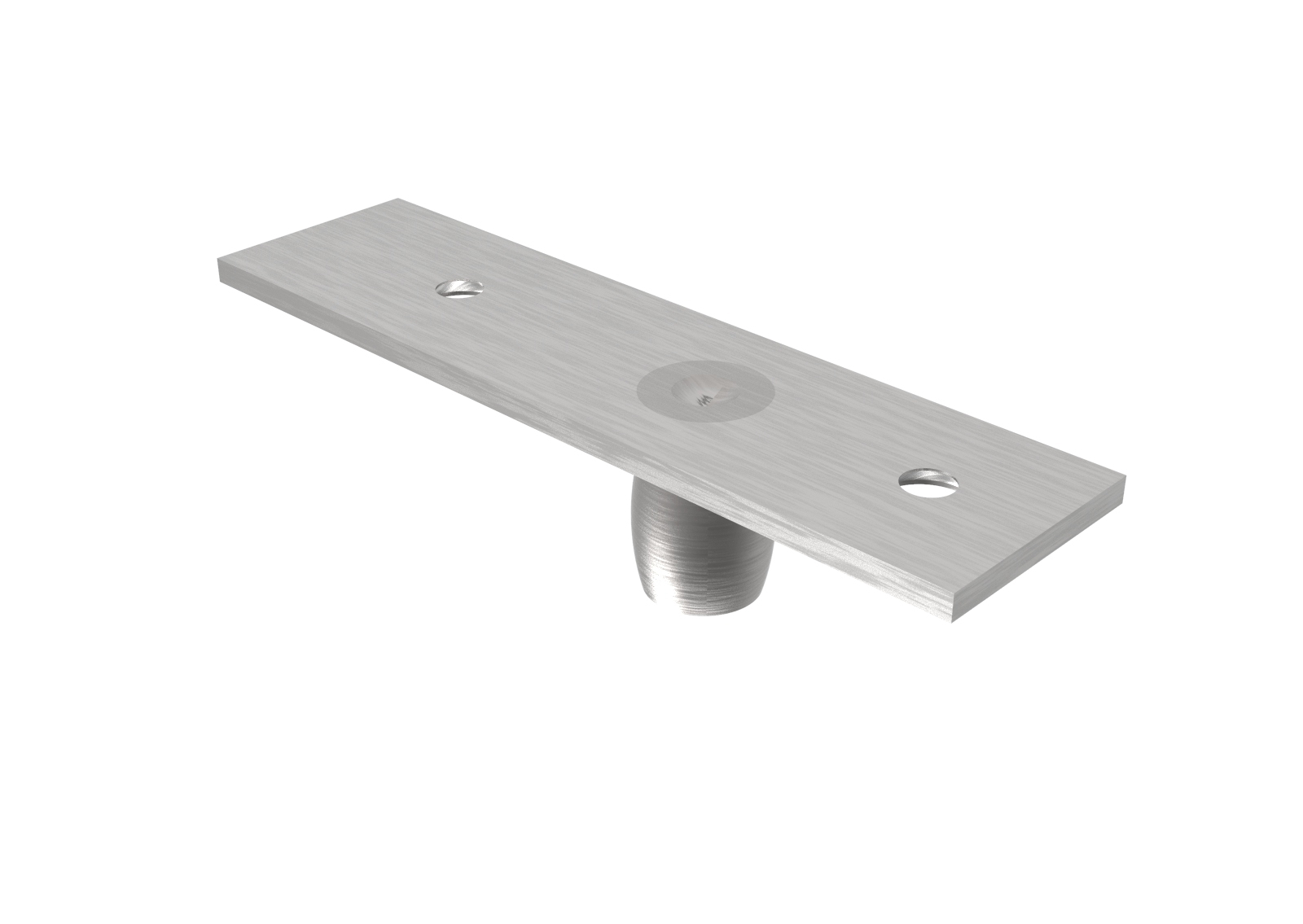 Edelstahl Drehpunktlager fuer oberes Scharnier- AISI 304 geschliffen-89-11GS304ZP802S-A.4