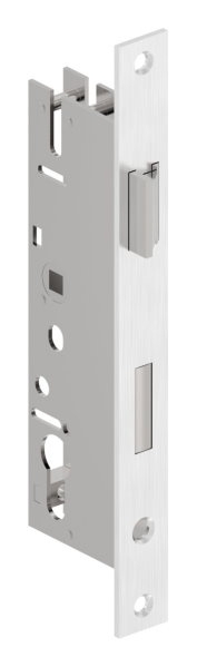 Rohrrahmenschloss verzinkt mit Dornmass 40mm-88-1160103.72