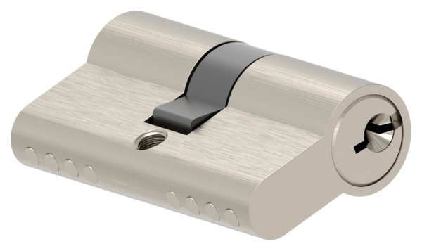 Profilzylinder- Laenge 55mm- gleichschliessend-88-118595-55.GS